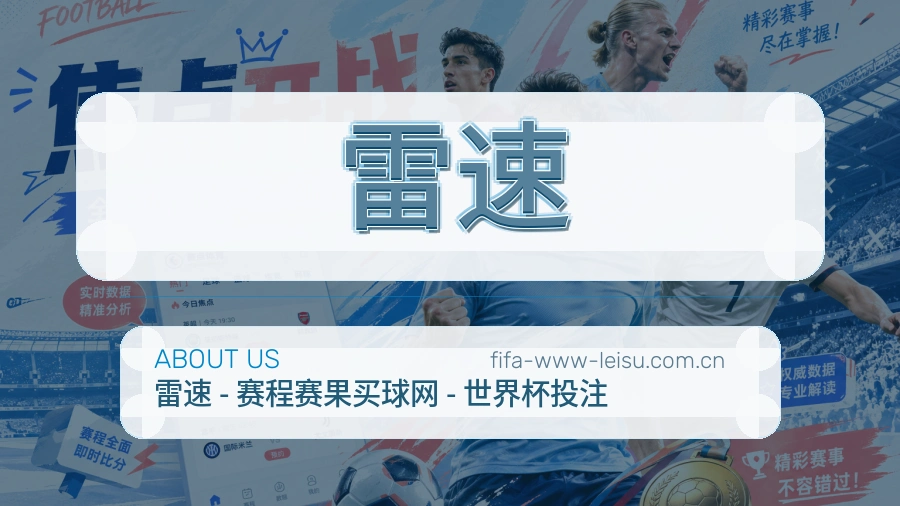 雷速发展说明